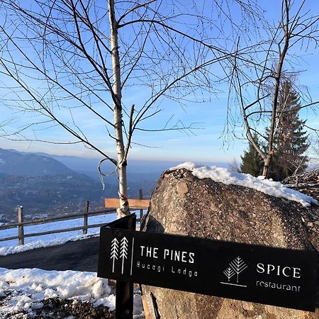 The Pines Bucegi Lodge 브란 외부 사진